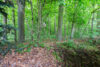 Großzügiges Grundstück am Wald – Wohnhaus mit viel Potenzial - Wald